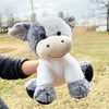 Baby Cow